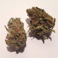 candy jack strain, candy jack weed, jack candy strain, where to buy weed in melbourne, where to buy weed melbourne, buy weed canberra, where to buy weed, where to buy weed in canberra, buy weed in melbourne, buy weed adelaide, buy weed in canberra, buy weed mat, buy weed perth, where to buy weed canberra, buy weed in sydney