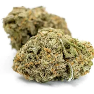 cough strawberry, strawberry cough strain, strawberry cough, strain strawberry cough, coughing strawberry, weeds buy, buying weed in aus, buying weed melbourne, where to buy weeds, buying weed in sydney, buying weed sydney, buy weed, buy weed online, buy weed brisbane, buy weed melbourne, where to buy weed in sydney