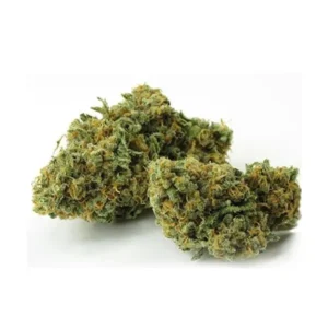 green crack strain, green crack, green cracked, green crack weed, green crack strain australia, green crack strain for pain and anxiety, greena indica, weeds buy, buying weed in aus, buying weed melbourne, where to buy weeds, buying weed in sydney, buying weed sydney, buy weed, buy weed online, buy weed brisbane, buy weed melbourne, where to buy weed in sydney